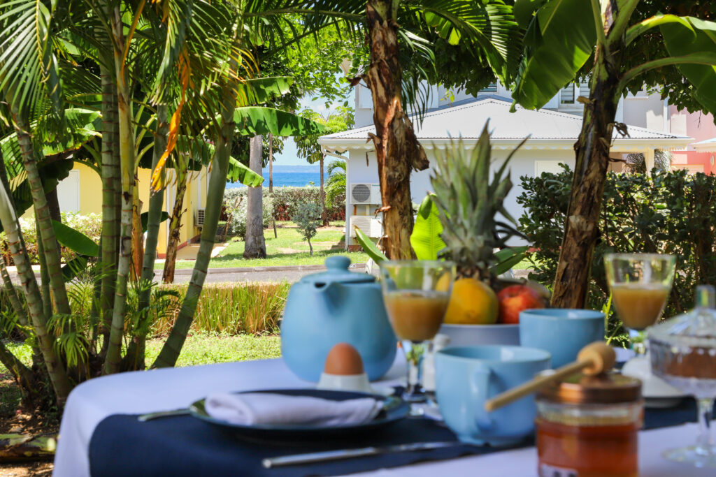 Petit-déjeuner sur la terrasse du Havre de l’Autre Bord, avec jardin tropical et vue sur la mer au Moule.